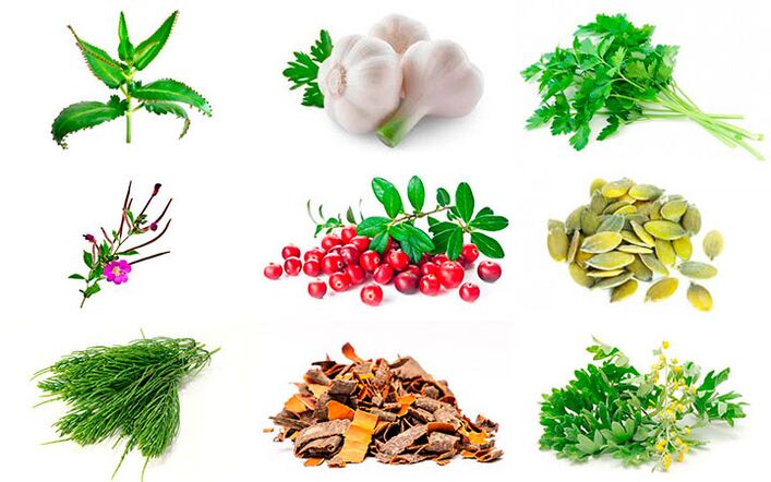 narodni lijekovi za liječenje prostatitisa